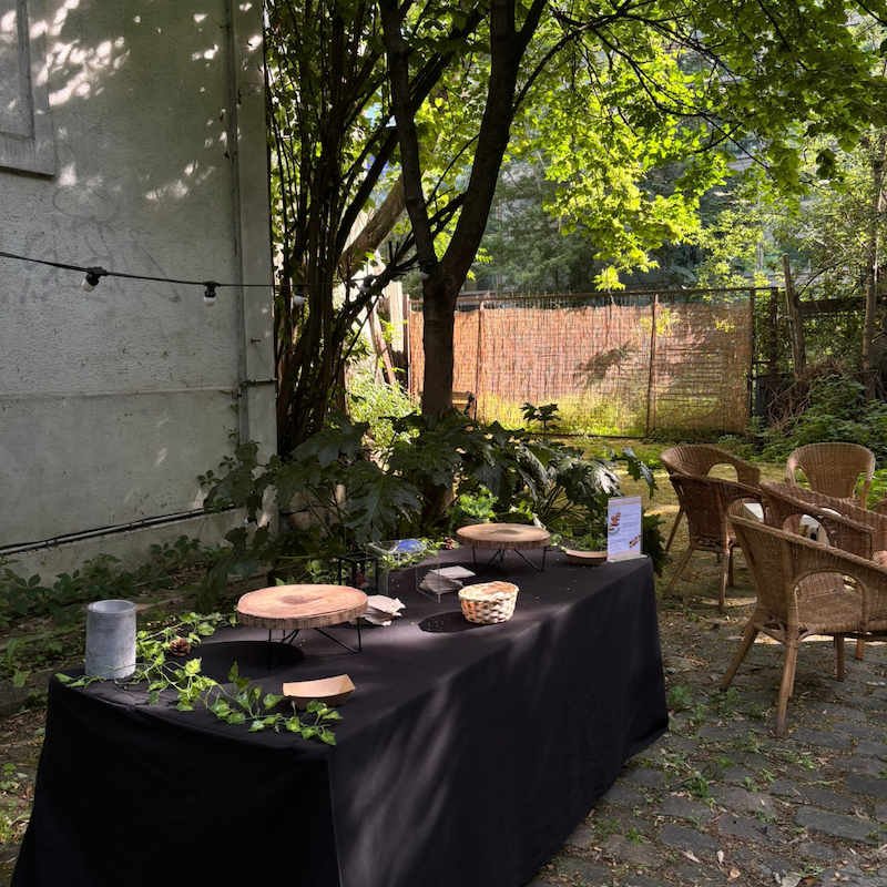 Retour sur la soirée d’entreprise au Jardin de Pierres